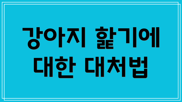 강아지 핥기에 대한 대처법