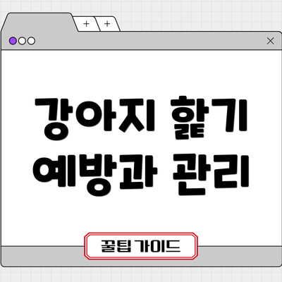 강아지 핥기 예방과 관리