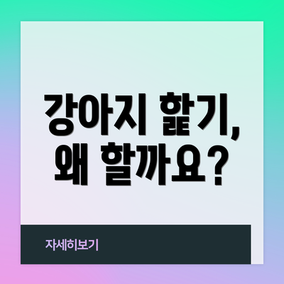 강아지 핥기, 왜 할까요?