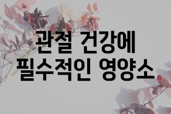 관절 건강에 필수적인 영양소