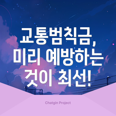 교통범칙금, 미리 예방하는 것이 최선!