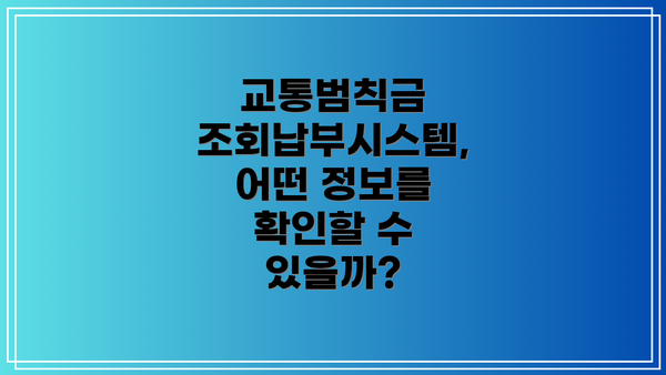 교통범칙금 조회납부시스템, 어떤 정보를 확인할 수 있을까?