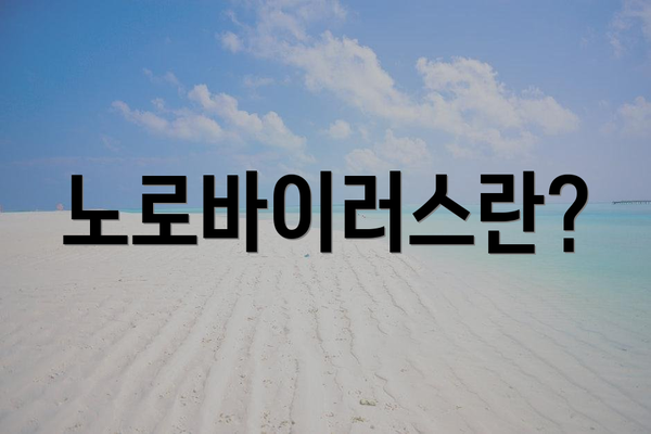 노로바이러스란?