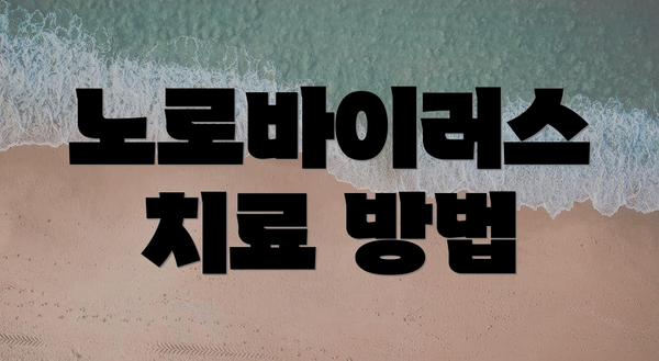 노로바이러스 치료 방법