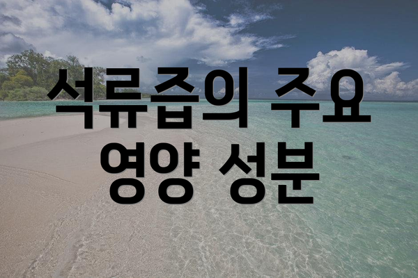 석류즙의 주요 영양 성분