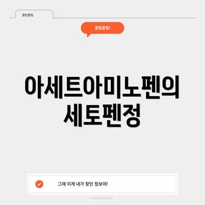 아세트아미노펜의 세토펜정