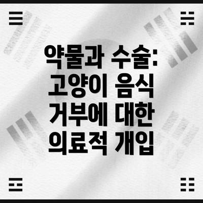 약물과 수술: 고양이 음식 거부에 대한 의료적 개입