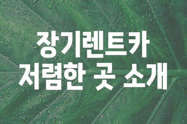 장기렌트카 저렴한 곳 소개