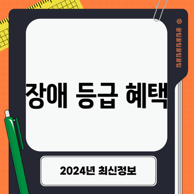 장애 등급 혜택