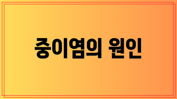 중이염의 원인