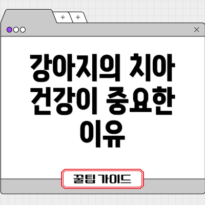 강아지의 치아 건강이 중요한 이유