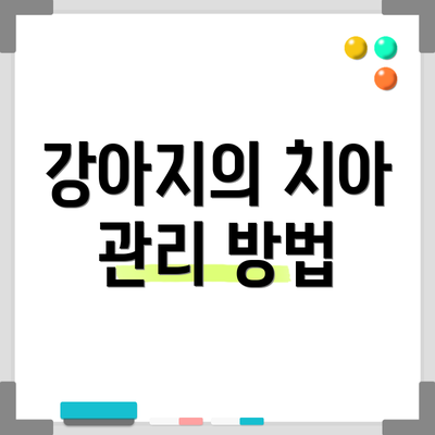 강아지의 치아 관리 방법