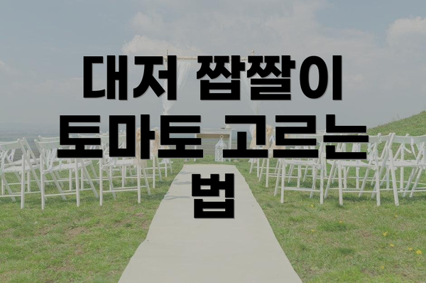 대저 짭짤이 토마토 고르는 법