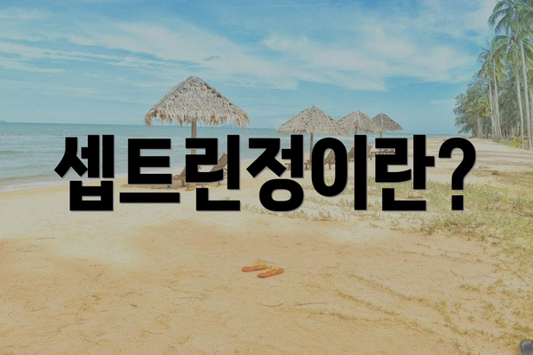 셉트린정이란?