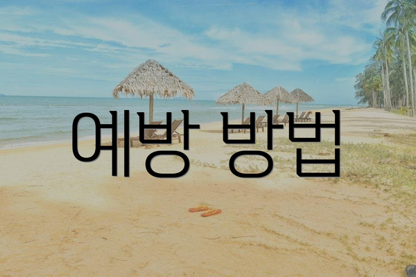 예방 방법