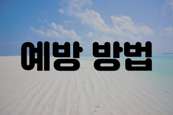 예방 방법
