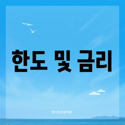 한도 및 금리