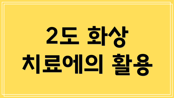 2도 화상 치료에의 활용