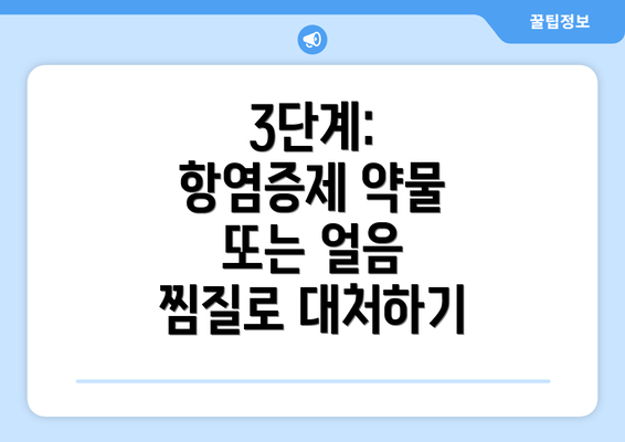 3단계: 항염증제 약물 또는 얼음 찜질로 대처하기