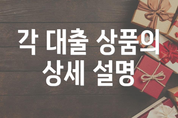 각 대출 상품의 상세 설명