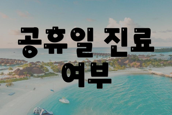 공휴일 진료 여부