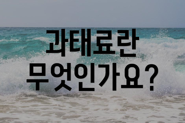 과태료란 무엇인가요?
