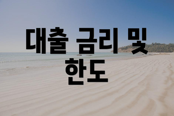 대출 금리 및 한도