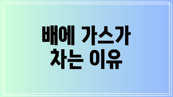 배에 가스가 차는 이유