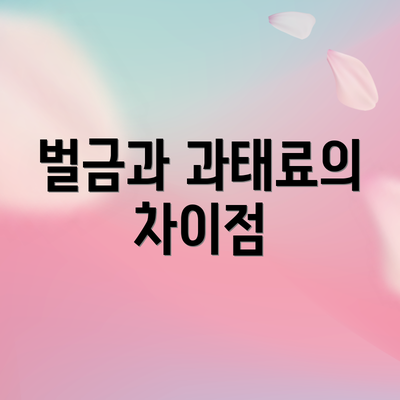 벌금과 과태료의 차이점