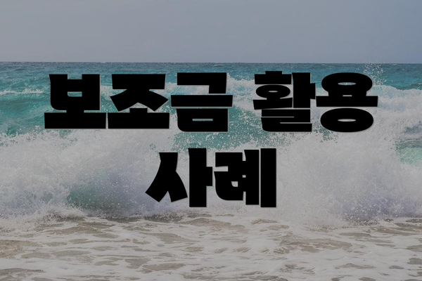 보조금 활용 사례