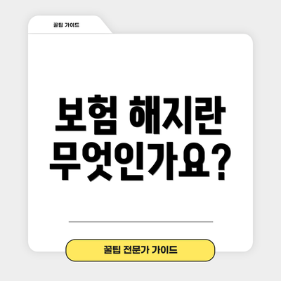 보험 해지란 무엇인가요?