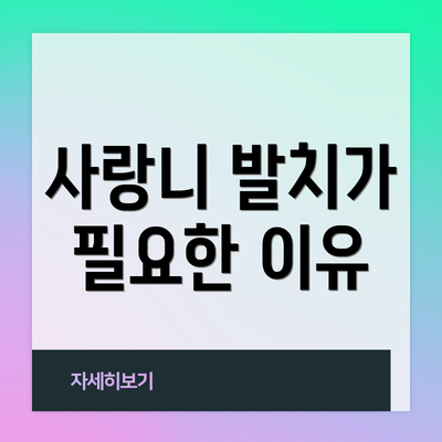 사랑니 발치가 필요한 이유