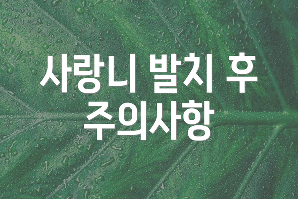 사랑니 발치 후 주의사항