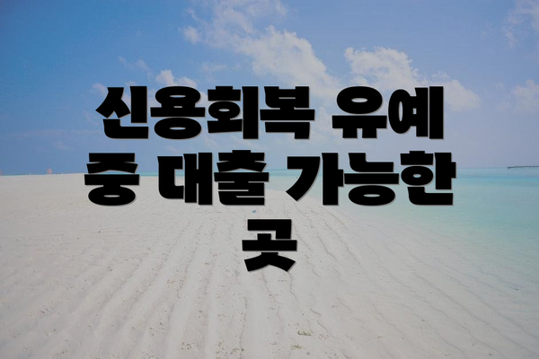 신용회복 유예 중 대출 가능한 곳