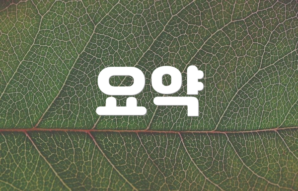 요약