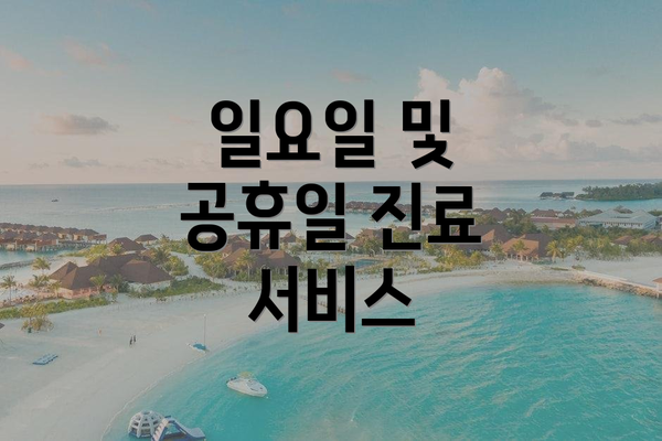 일요일 및 공휴일 진료 서비스