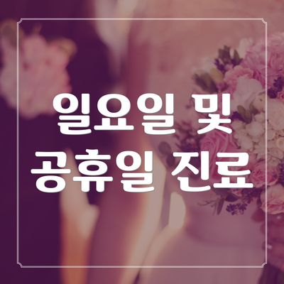 일요일 및 공휴일 진료
