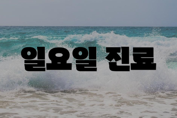 일요일 진료