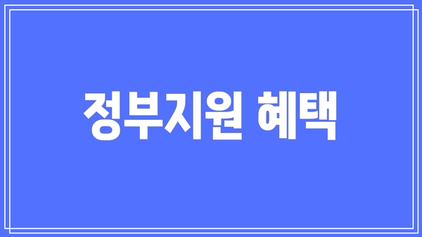 정부지원 혜택