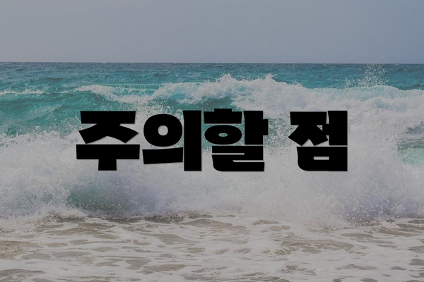 주의할 점