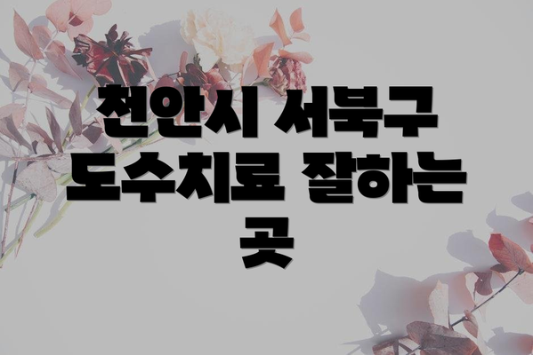 천안시 서북구 도수치료 잘하는 곳