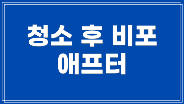 청소 후 비포 애프터