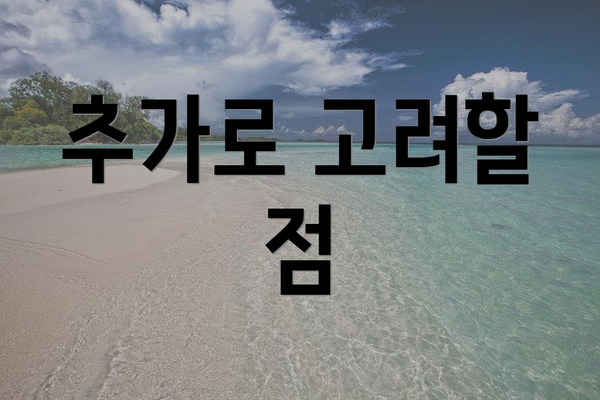 추가로 고려할 점