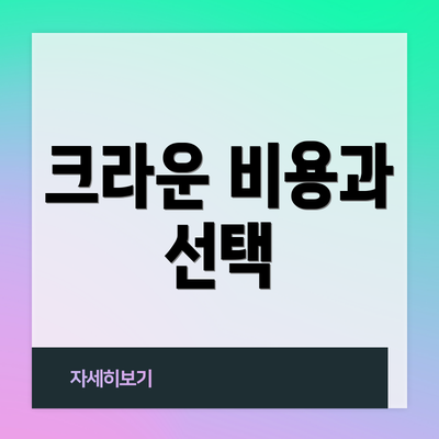 크라운 비용과 선택