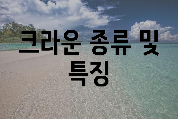 크라운 종류 및 특징
