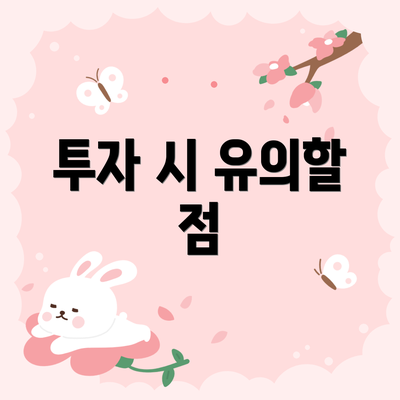 투자 시 유의할 점