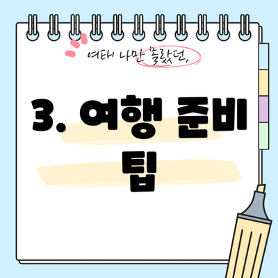 3. 여행 준비 팁