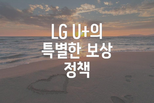 LG U+의 특별한 보상 정책
