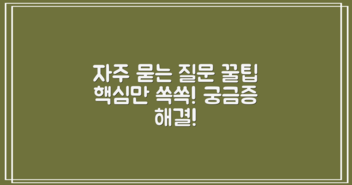 자주 묻는 질문