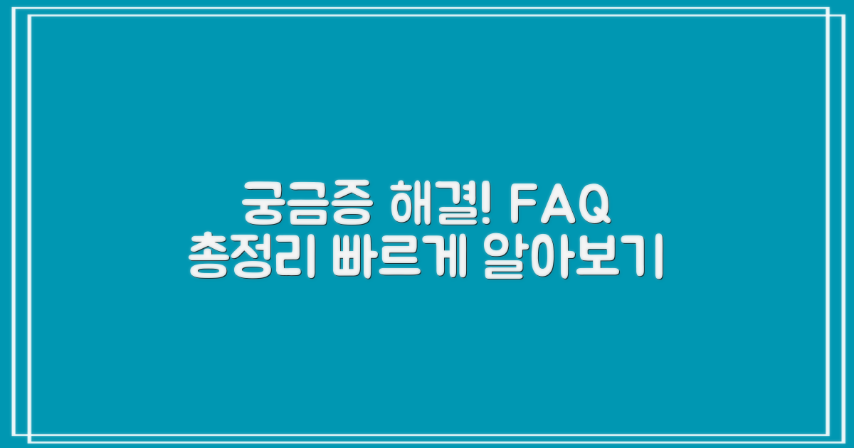 자주 묻는 질문